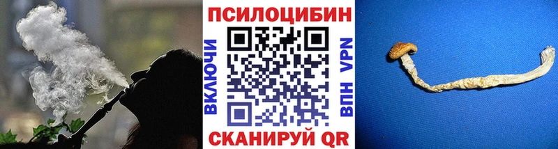 где можно купить наркотик  Лыткарино  Галлюциногенные грибы GOLDEN TEACHER 